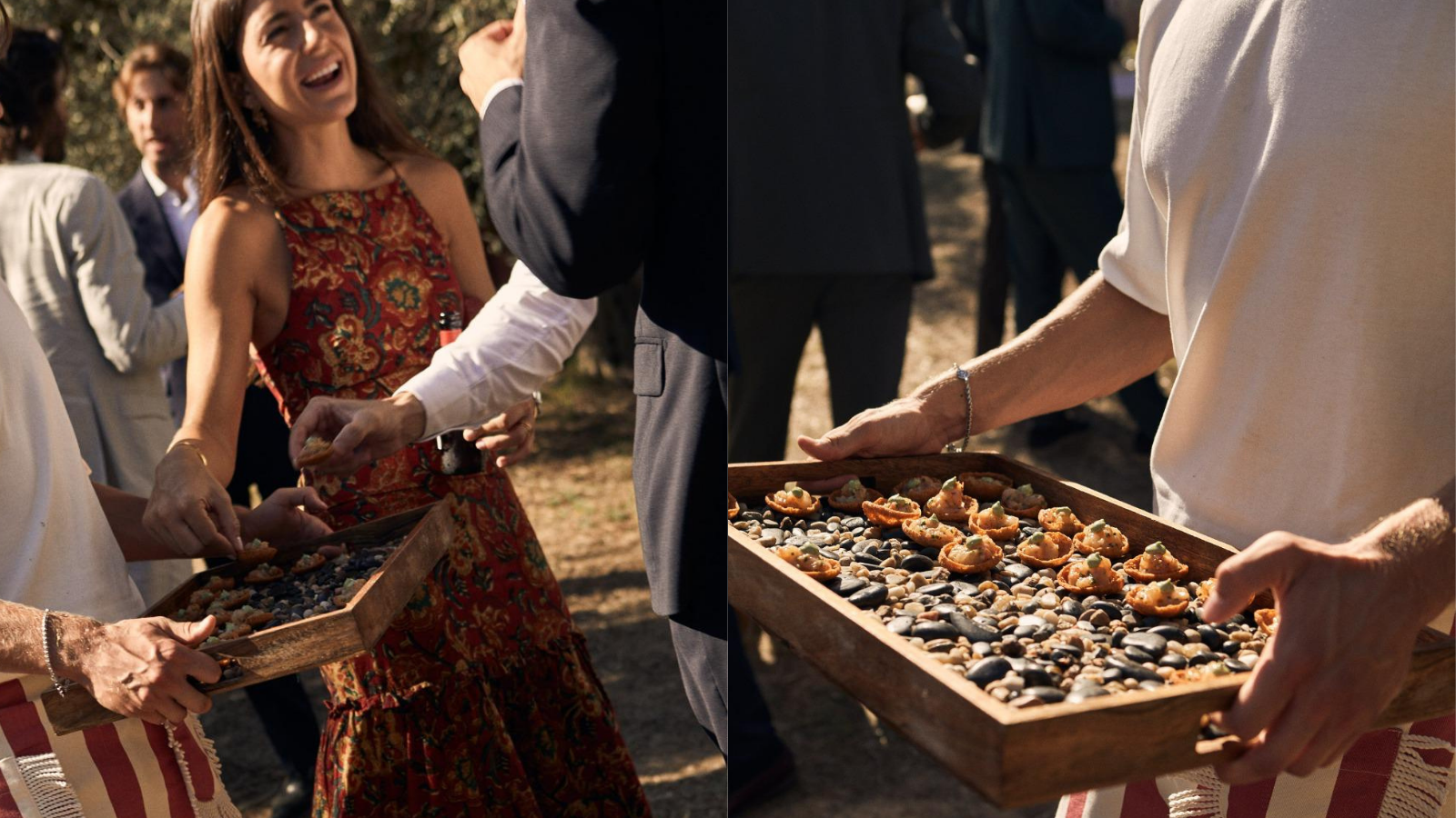 A Vermouth Bar Among the Olive Trees