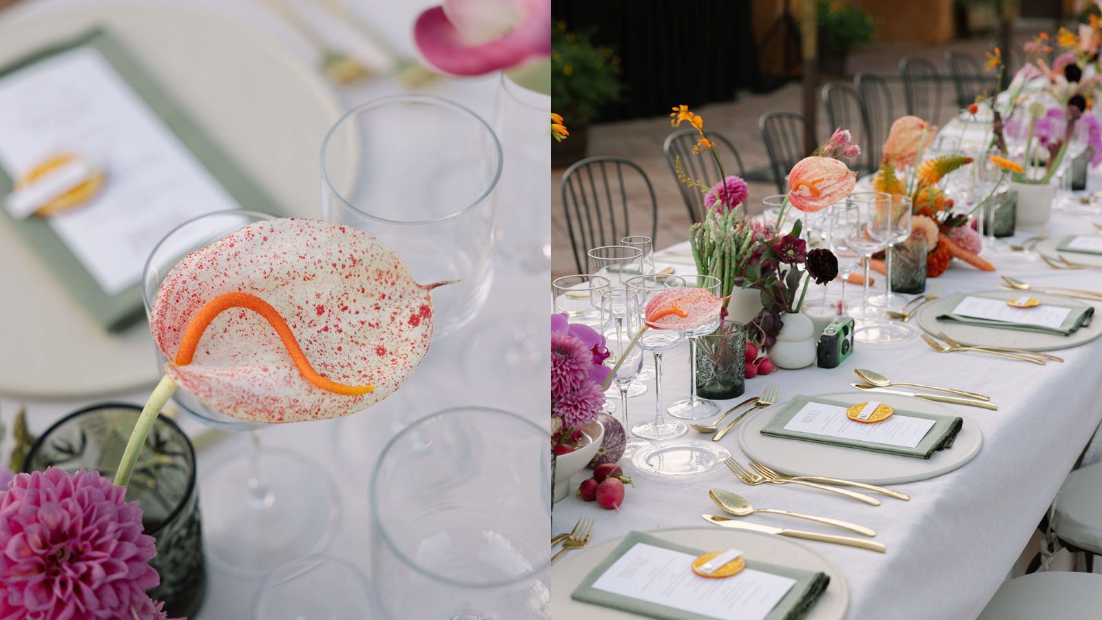 A Sea of Flowers at Masia Egara