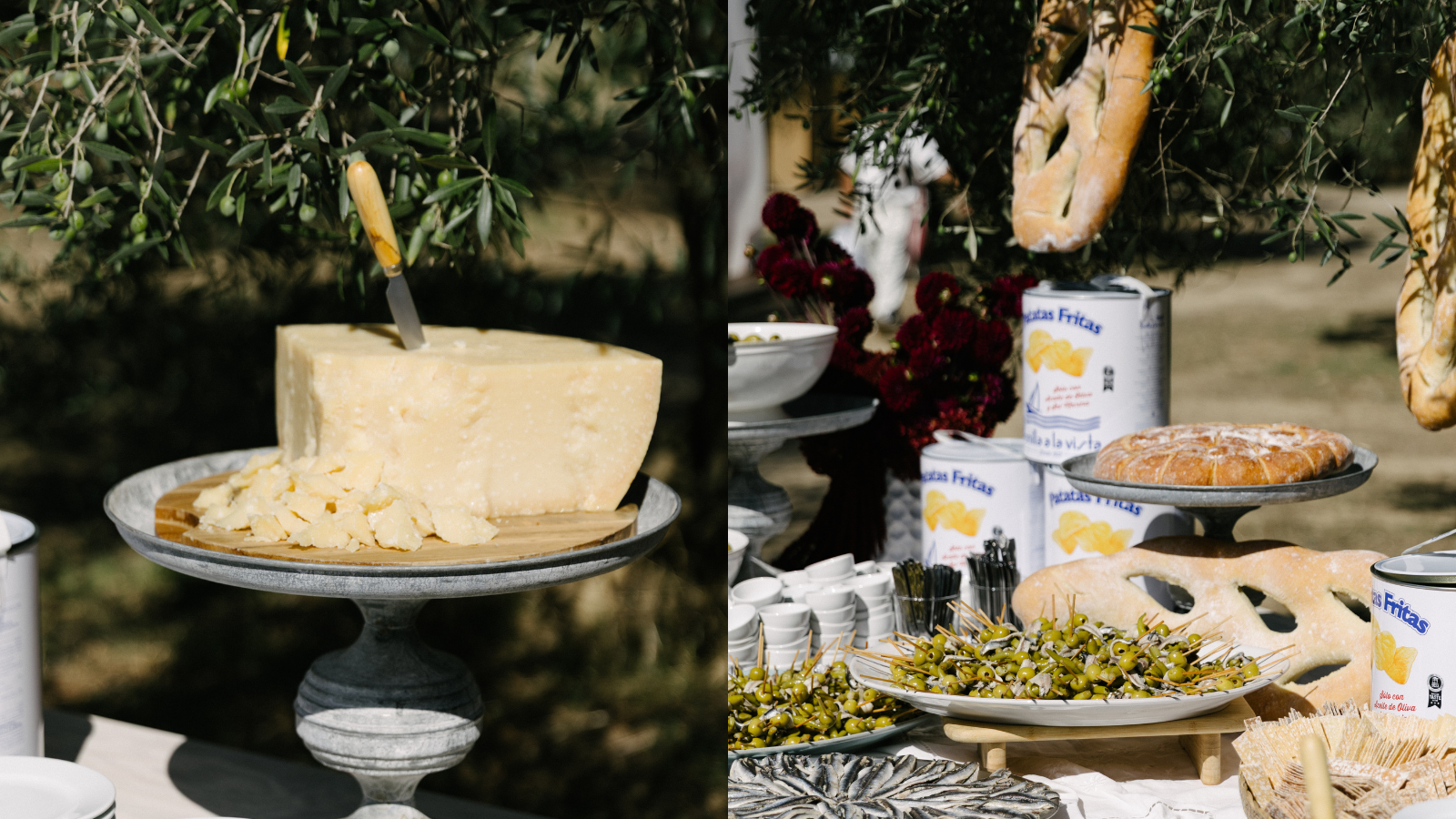 A Vermouth Bar Among the Olive Trees