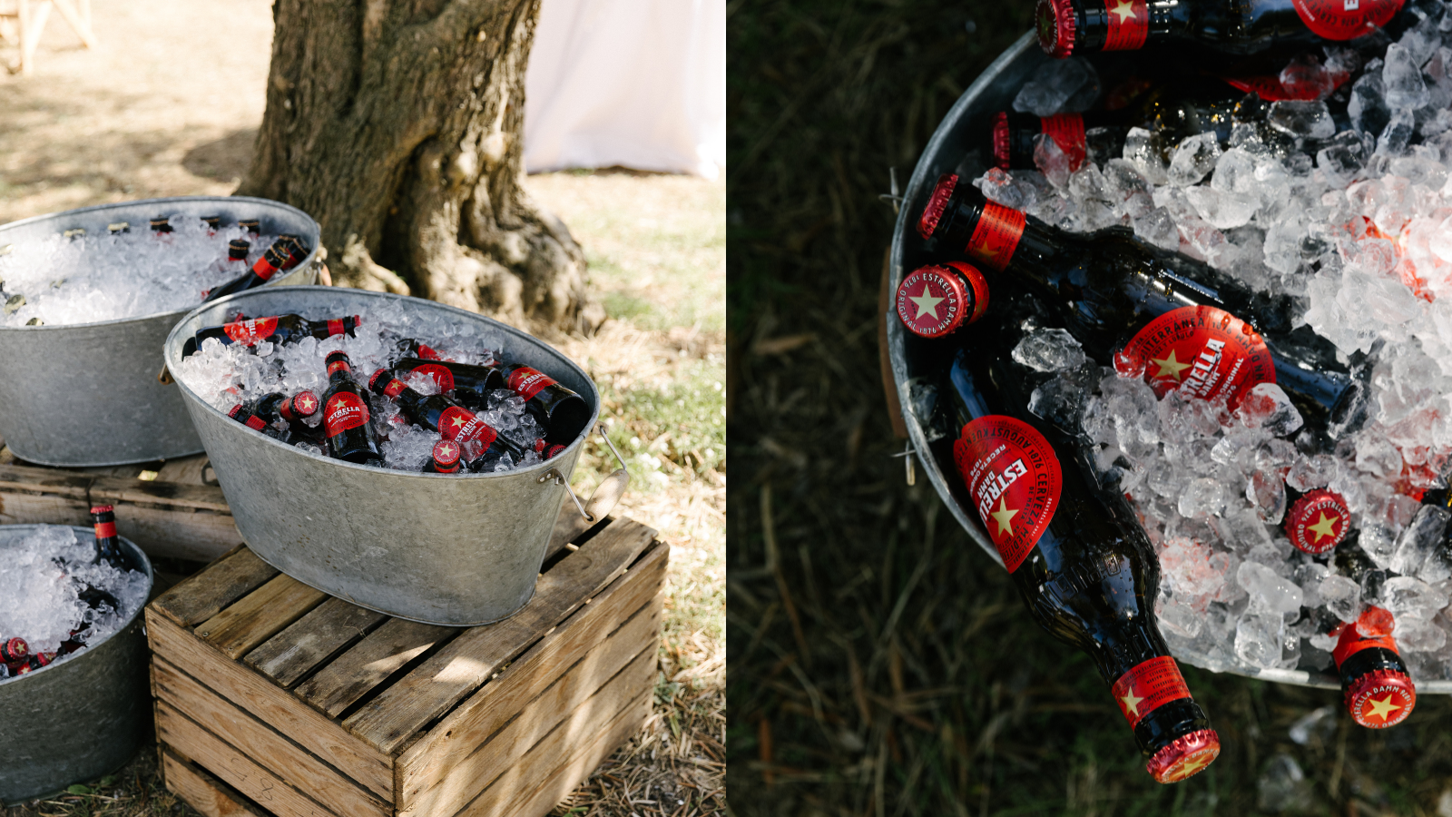 A Vermouth Bar Among the Olive Trees