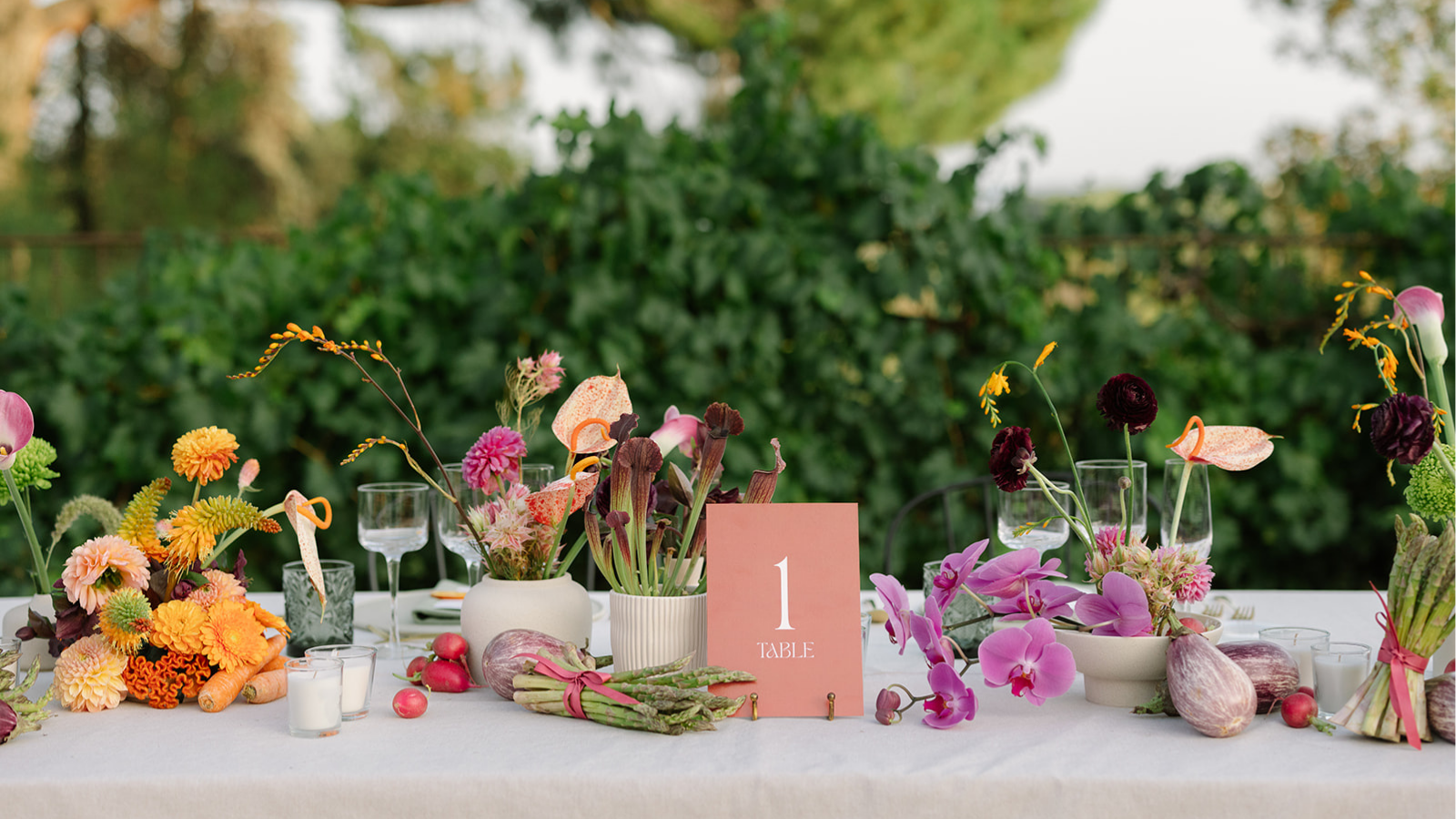 A Sea of Flowers at Masia Egara