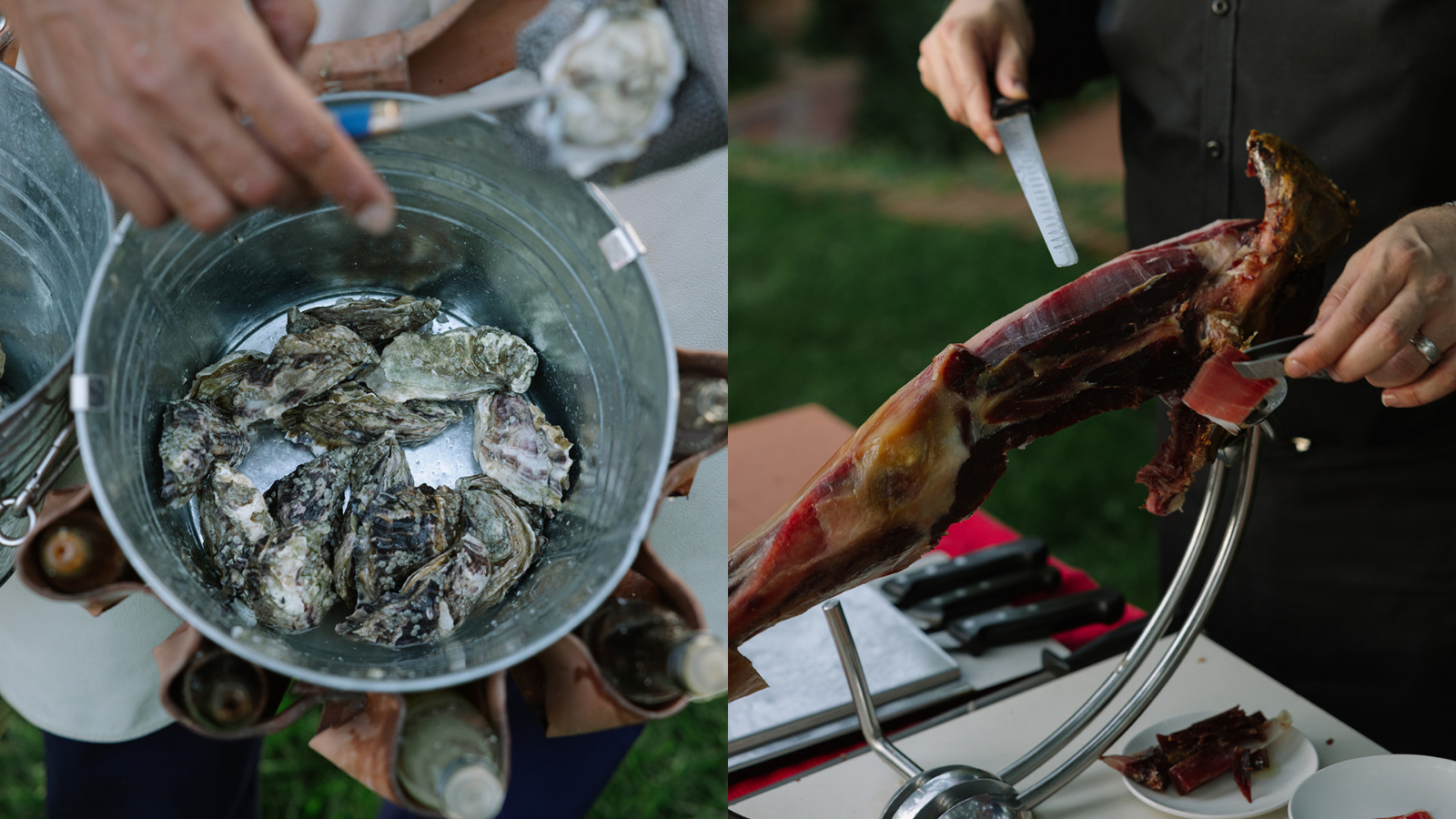 A Sea of Flowers at Masia Egara