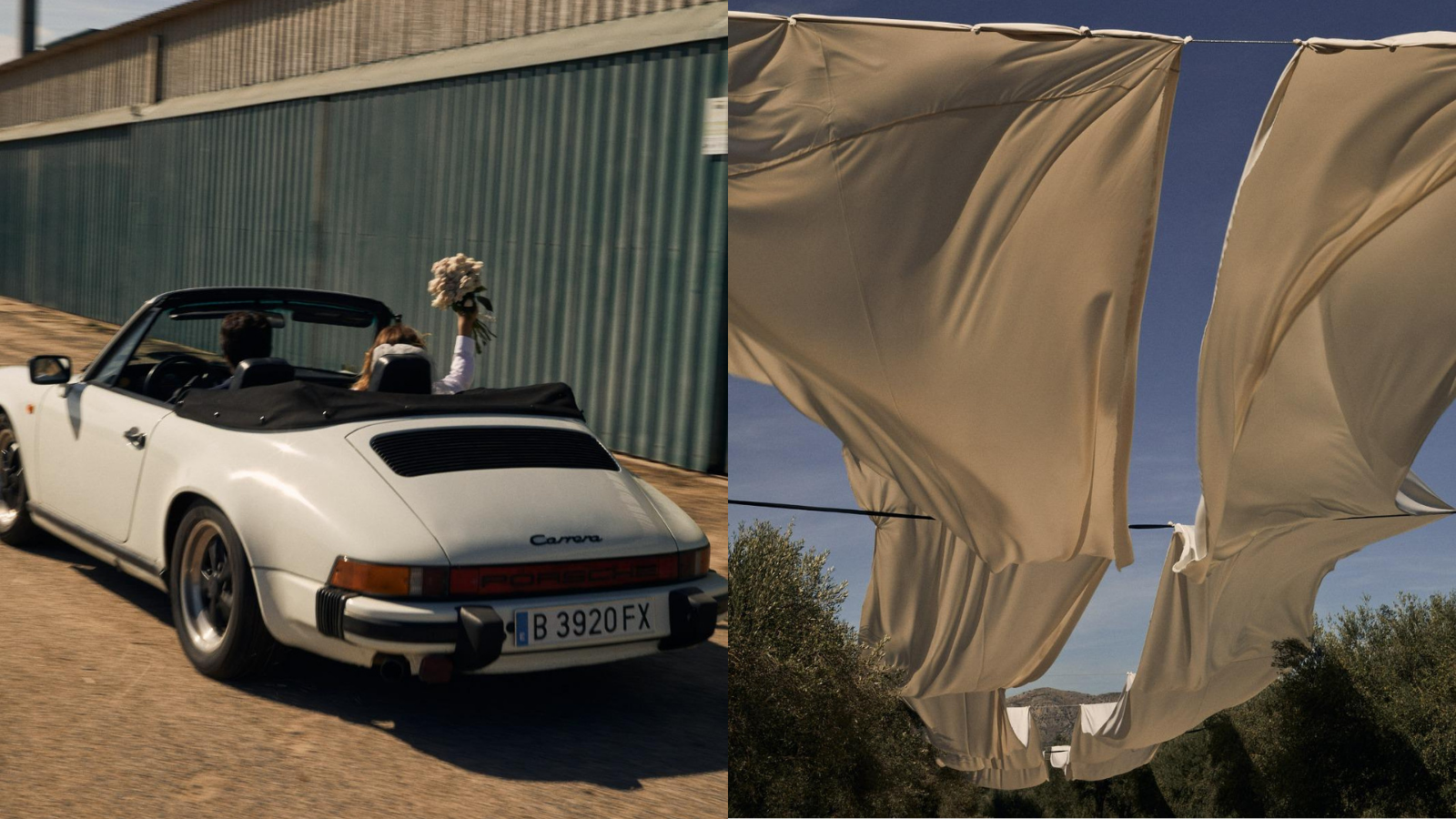 A Vermouth Bar Among the Olive Trees