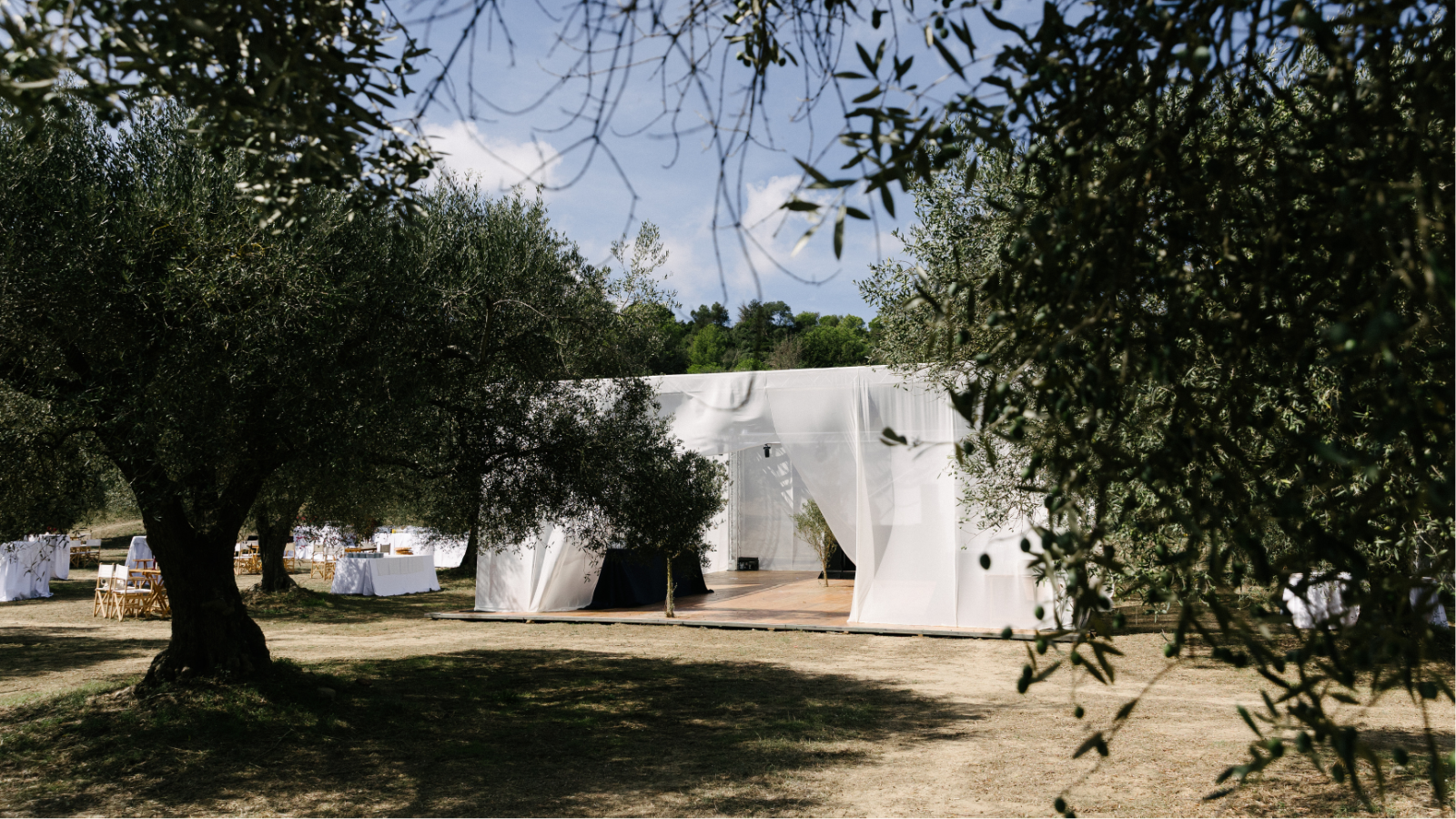 A Vermouth Bar Among the Olive Trees