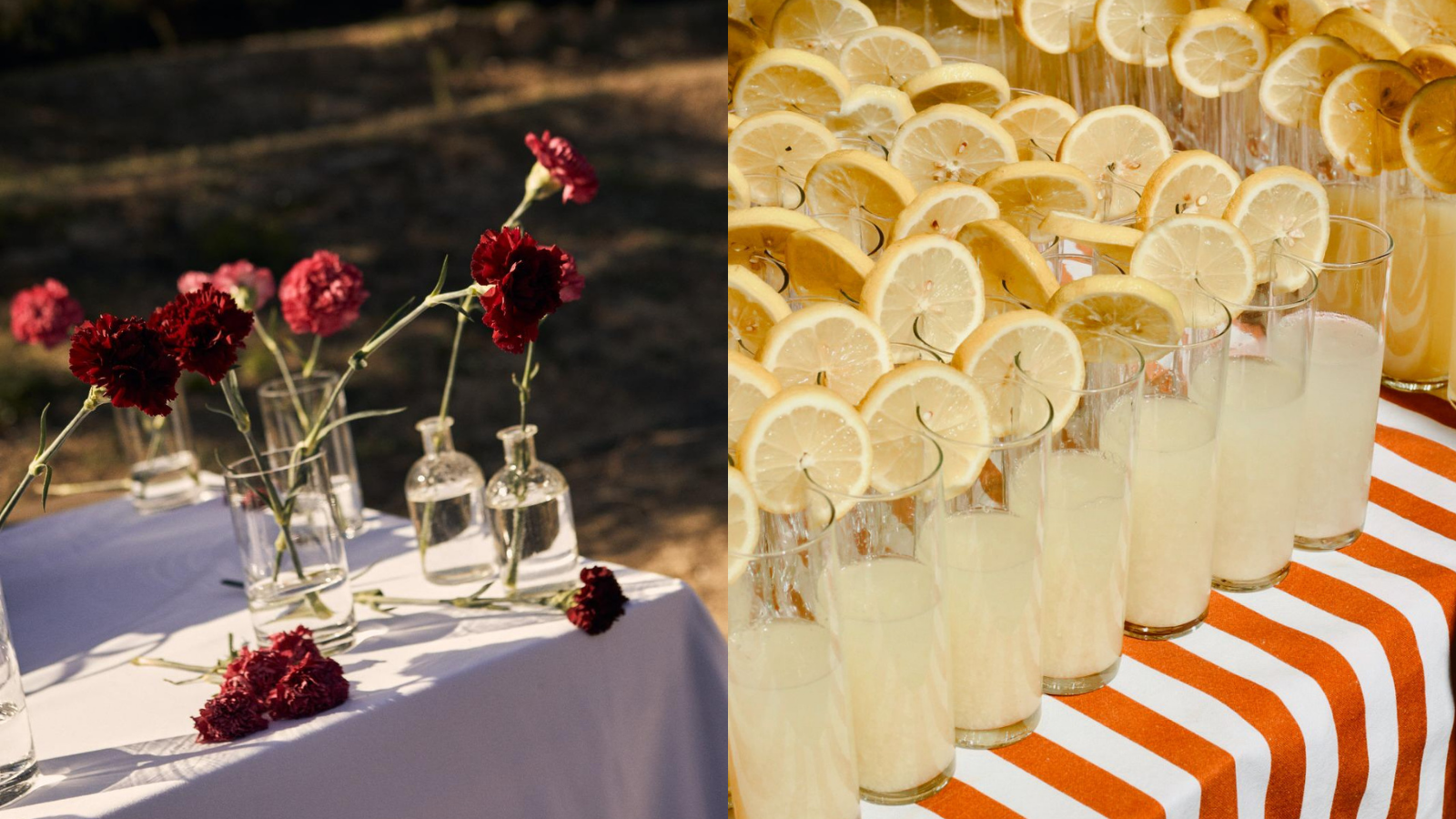 A Vermouth Bar Among the Olive Trees