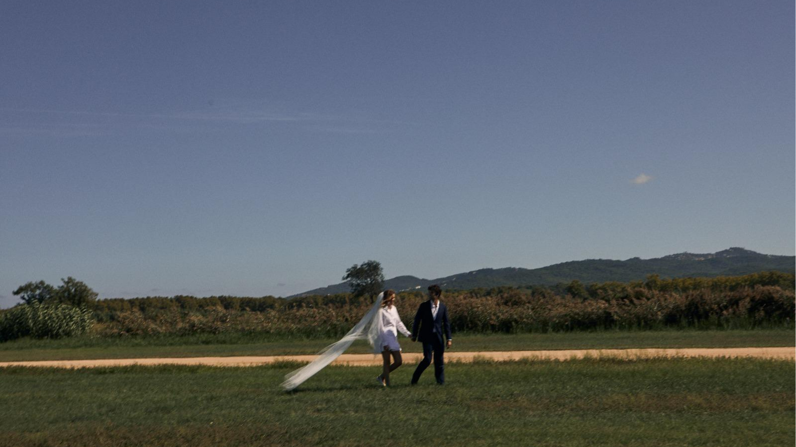 A Vermouth Bar Among the Olive Trees