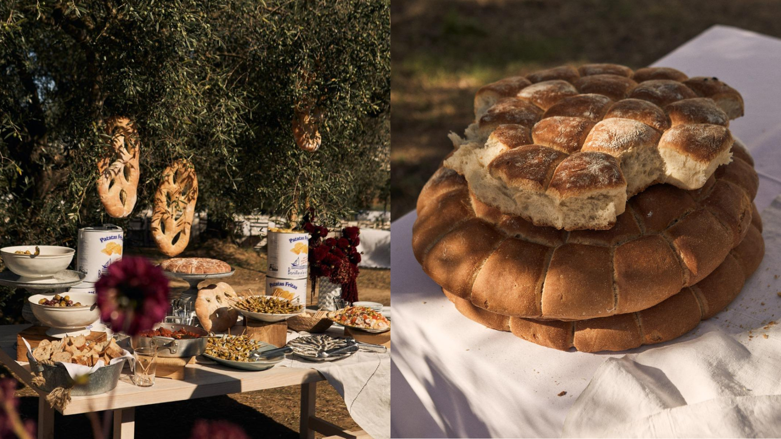 A Vermouth Bar Among the Olive Trees